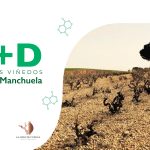 La bodega La Niña de Cuenca, perteneciente a La D. O. Manchuela, participa en el proyecto Biovidman para aplicar el I+D en sus viñedos