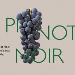 Características del vino Pinot Noir de la D. O. Manchuela
